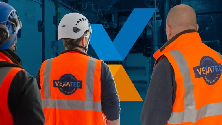 vexatecin miehet